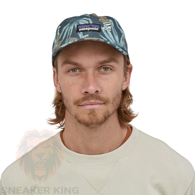 Кепка Patagonia P-6 label trad cap 38296 TRGY tropical